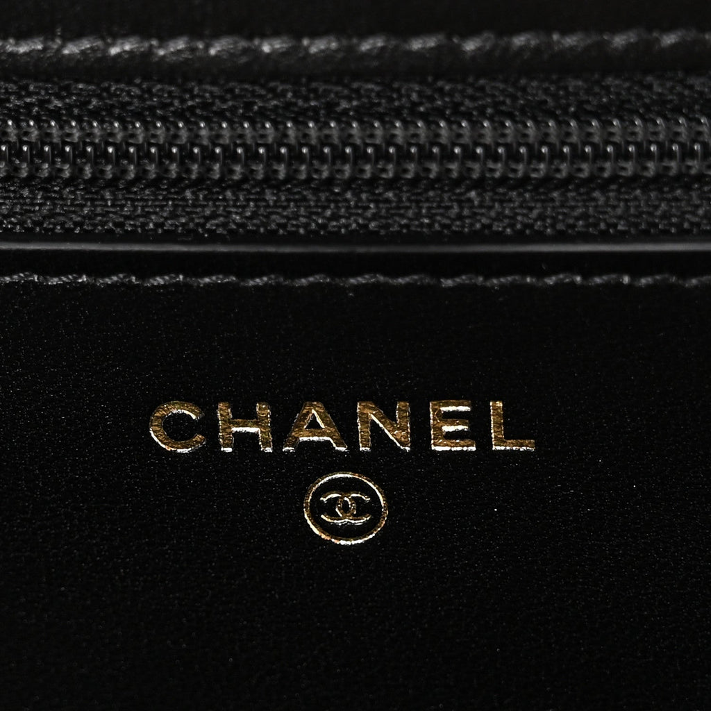 Lambskin Quilted Chanel 19 Wallet On Chain WOC Black