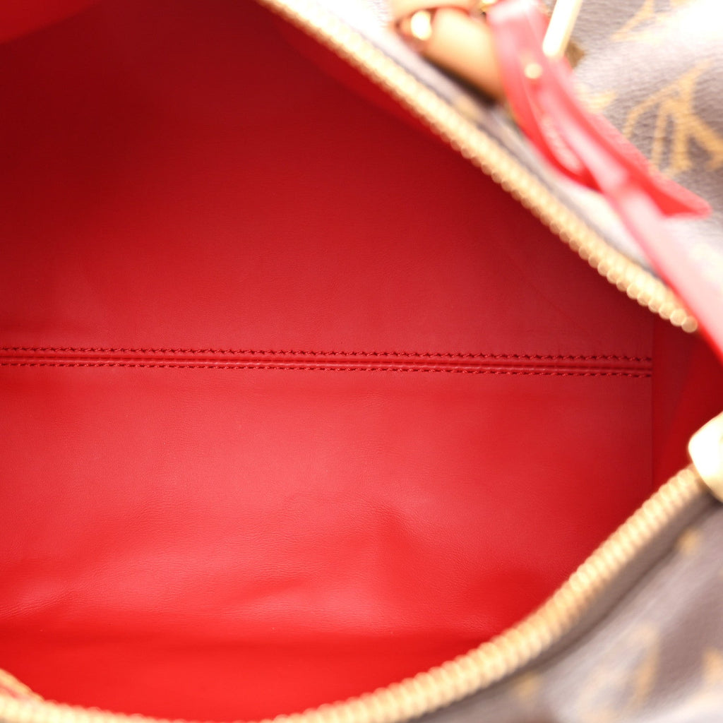 Monogram Speedy Soft Crafty 30