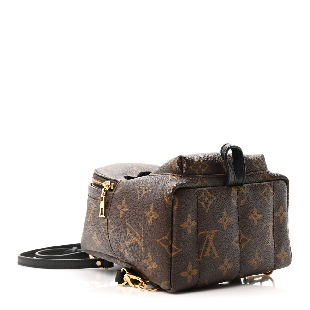 Monogram Palm Springs Backpack Mini