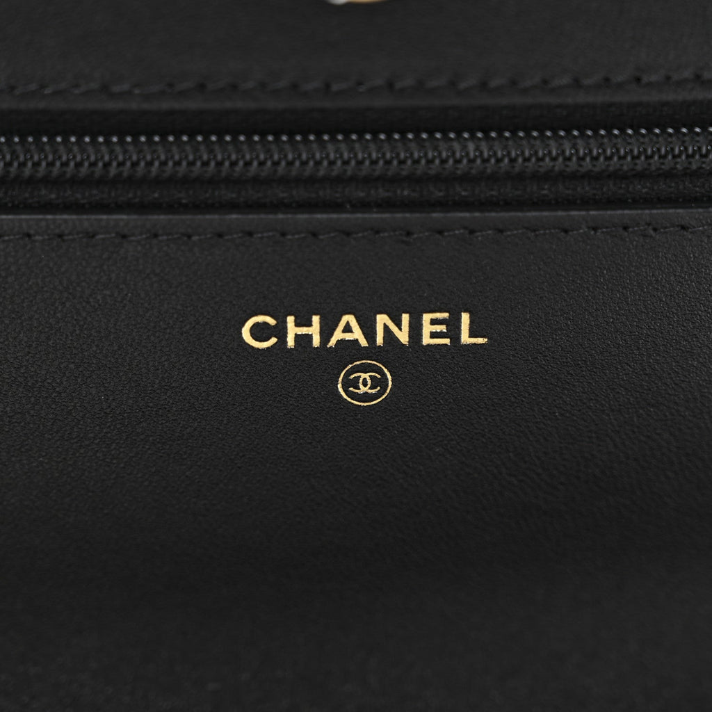 Lambskin Quilted Chanel 19 Wallet On Chain WOC Black