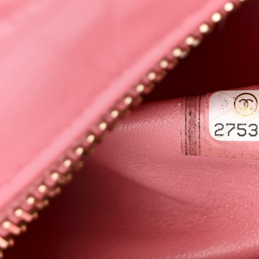 Snakeskin Small Gabrielle Hobo Pink