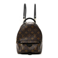 Monogram Palm Springs Backpack Mini