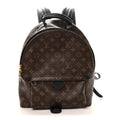 Monogram Palm Springs Backpack MM