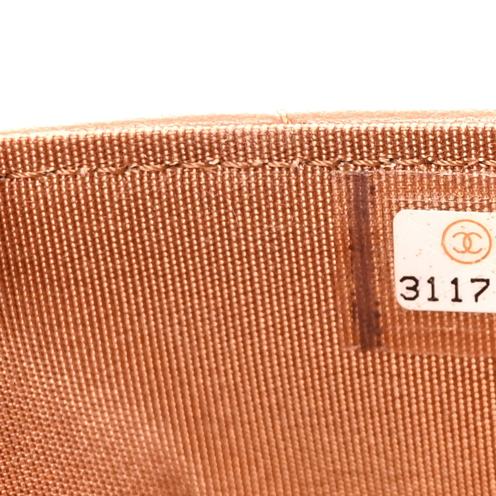 Lambskin Quilted Chanel 19 Wallet On Chain WOC Brown