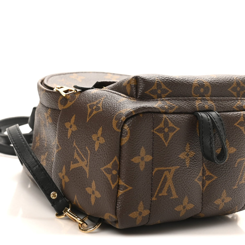 Monogram Palm Springs Backpack Mini