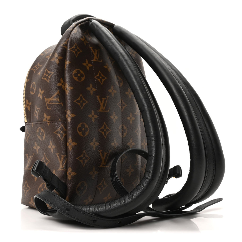 Reverse Monogram Palm Springs Backpack PM