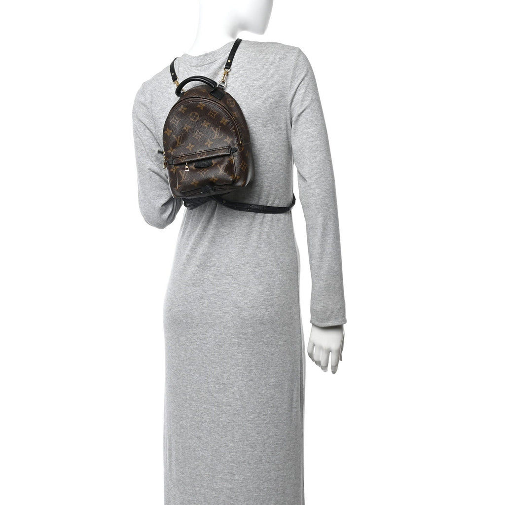 Monogram Palm Springs Backpack Mini