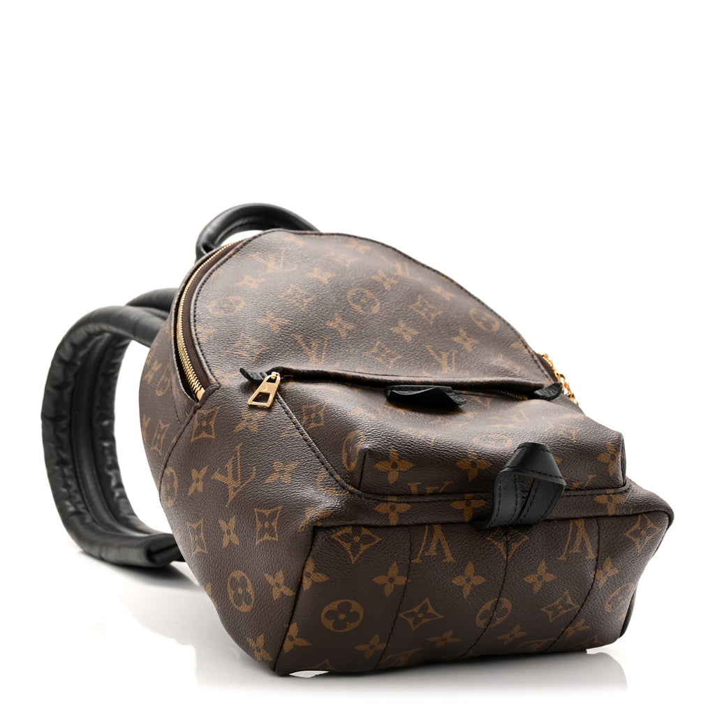 Monogram Palm Springs Backpack PM