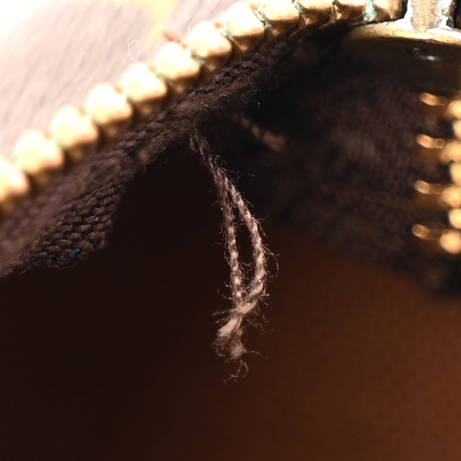 Monogram Mini Sac HL Speedy