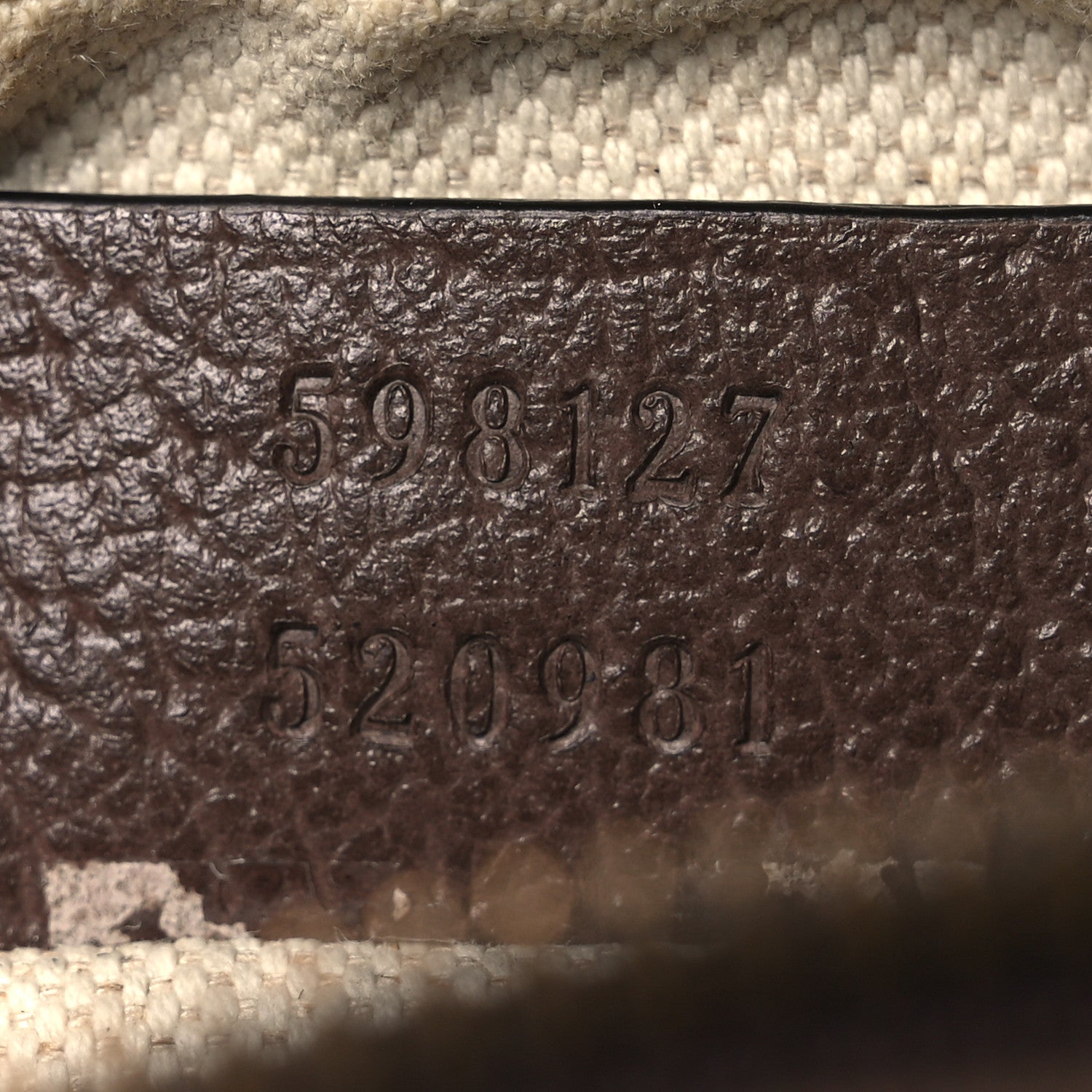 GG Supreme Monogram Web Mini Ophidia Messenger Brown