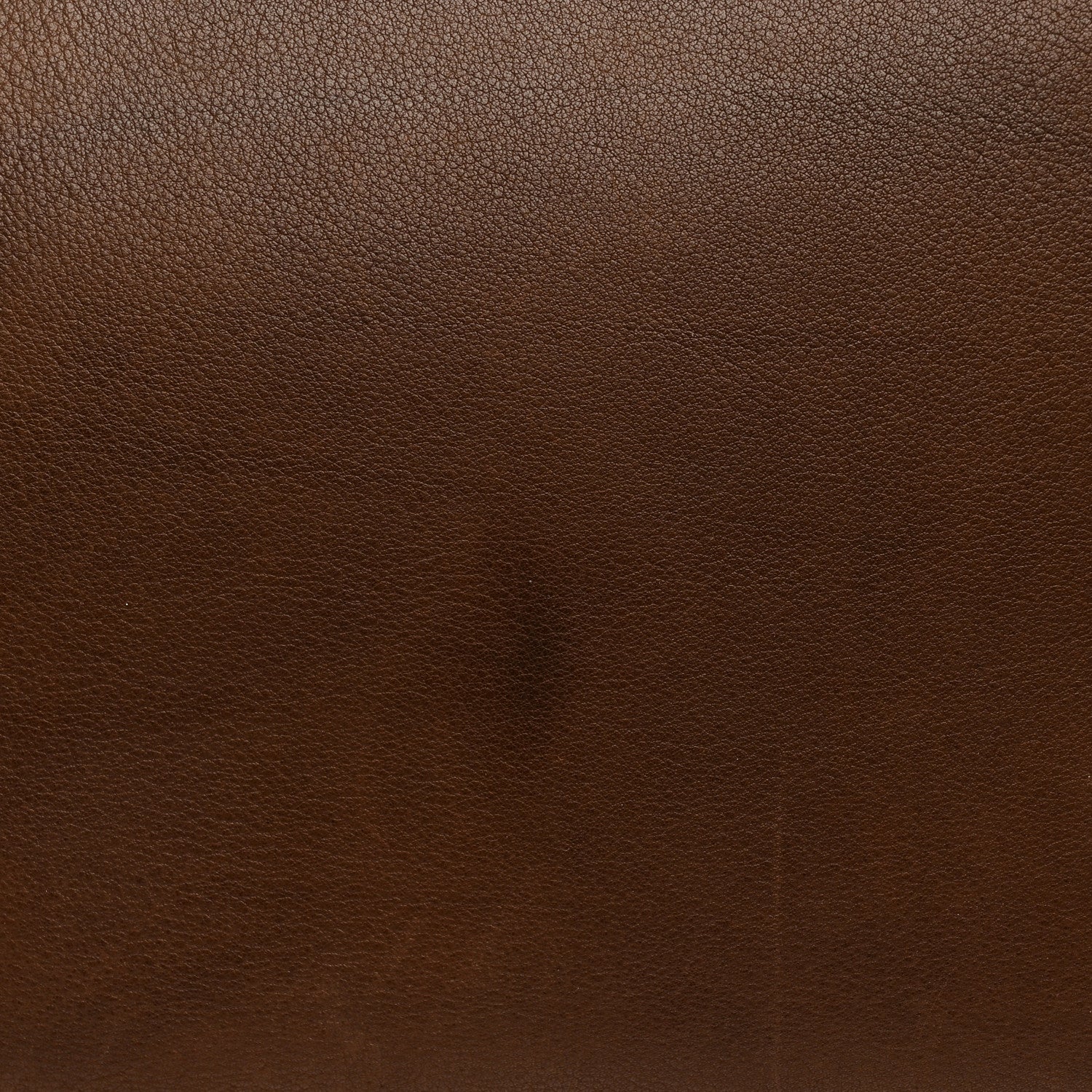 Polished Saddle Calfskin Marlo 14 Deep Brown
