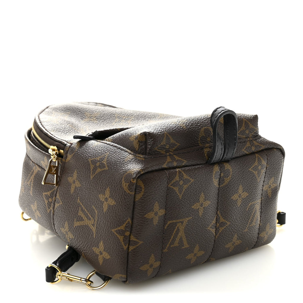 Monogram Palm Springs Backpack Mini