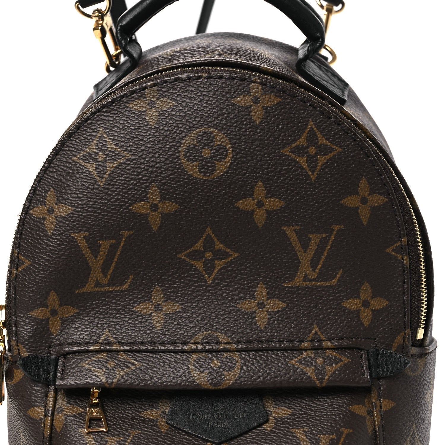 Monogram Palm Springs Backpack Mini