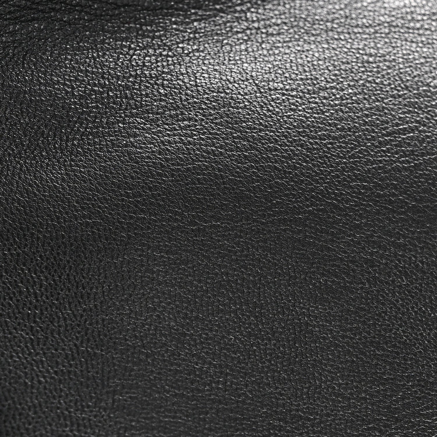 Goatskin Quilted Medium Chanel 19 Flap Black
