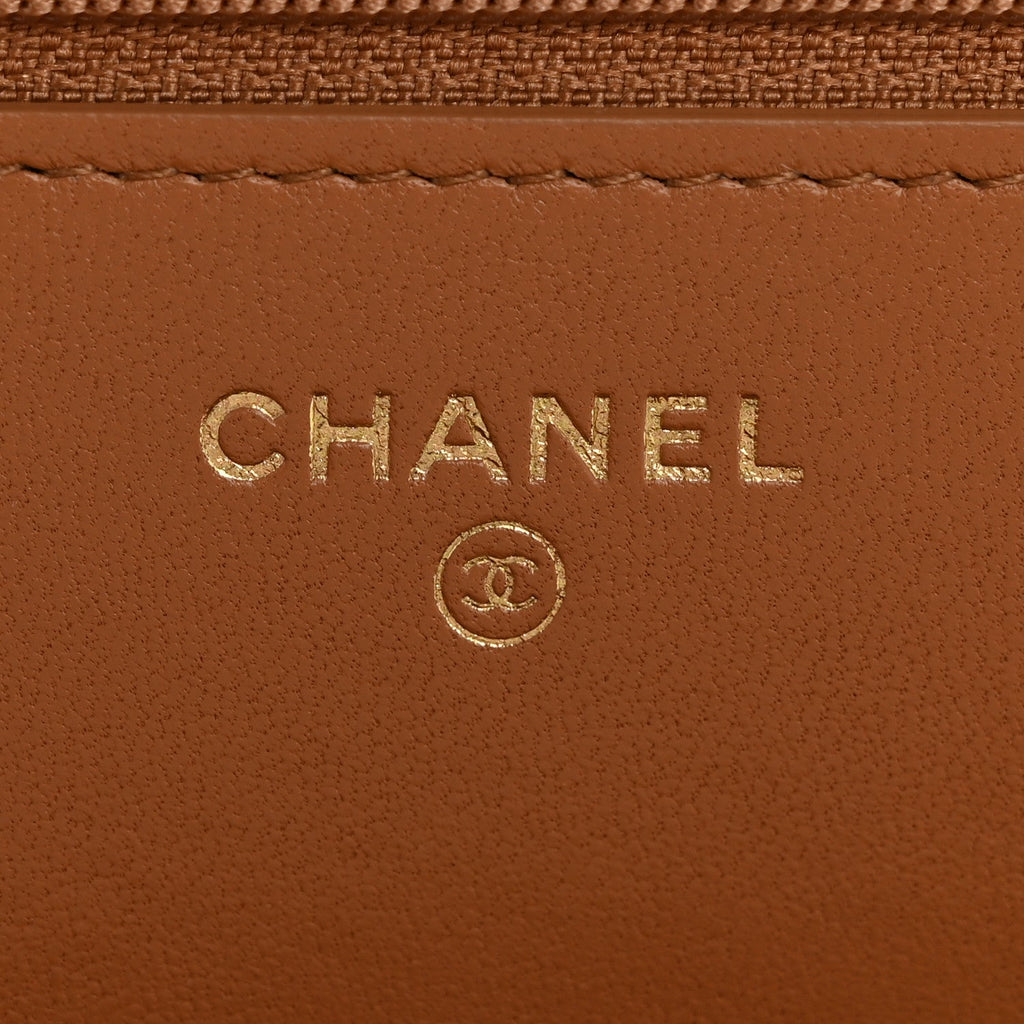 Lambskin Quilted Chanel 19 Wallet On Chain WOC Brown