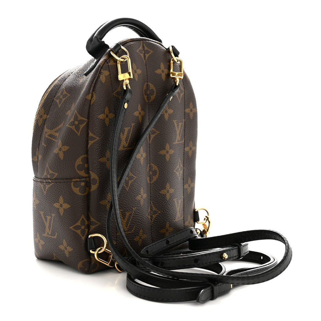Monogram Palm Springs Backpack Mini