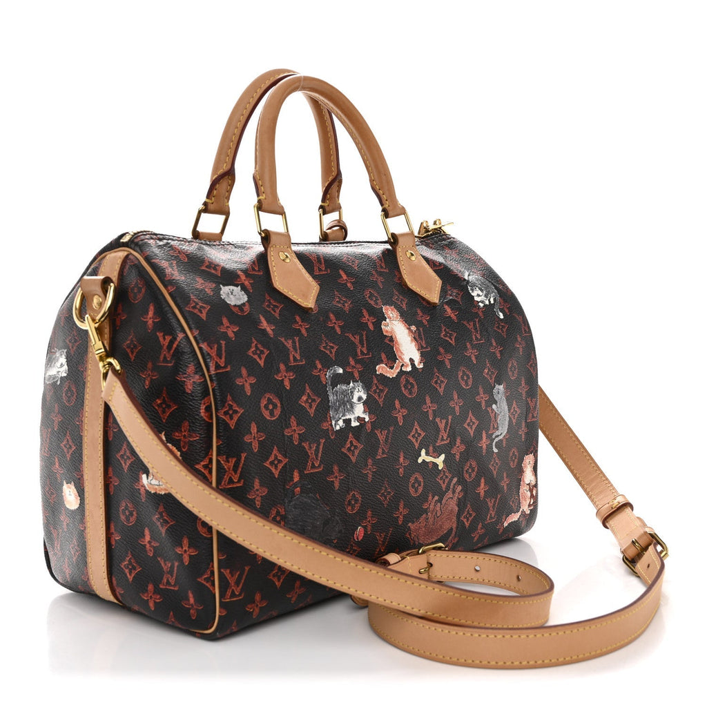 Catogram Speedy Bandouliere 30 Marron