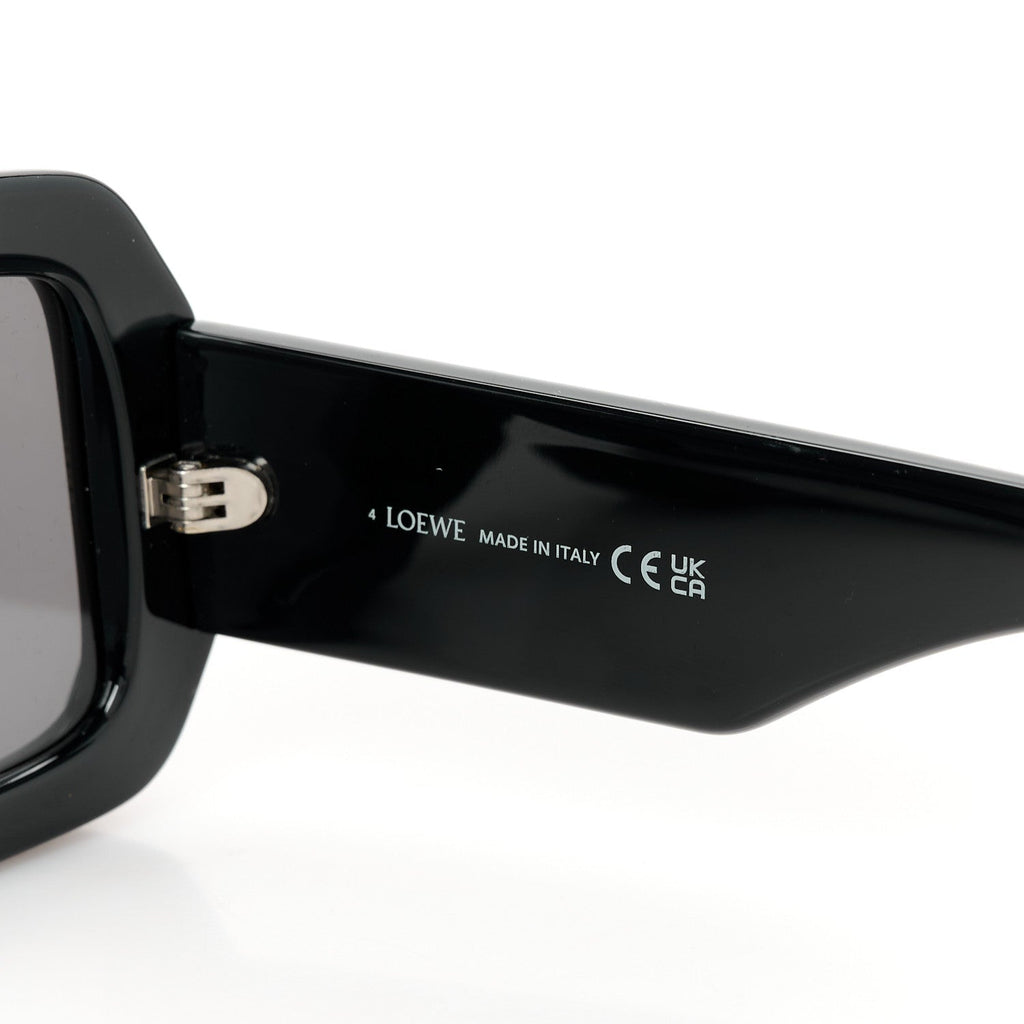 Acetate Paula's Ibiza Dive In Mask Sunglasses LW40064U Black Silver