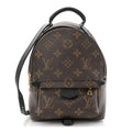 Monogram Palm Springs Backpack Mini