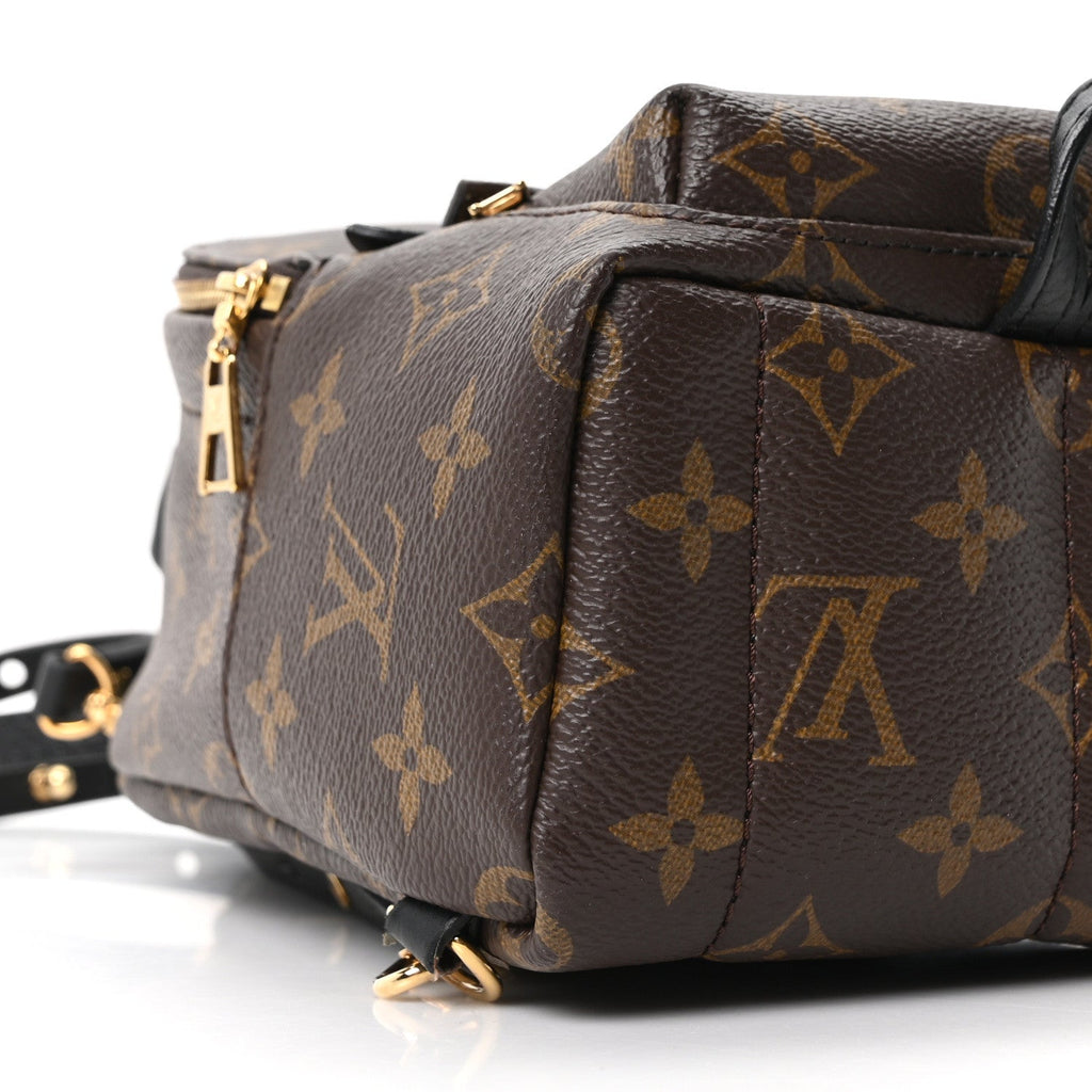 Monogram Palm Springs Backpack Mini