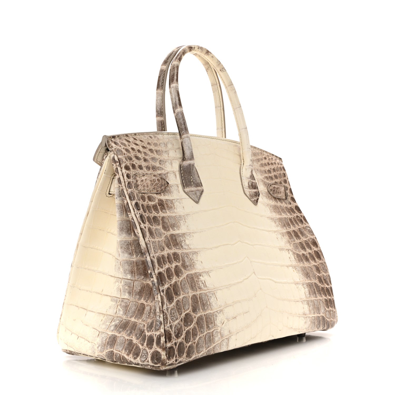 Matte Niloticus Crocodile Himalaya Birkin 30 Blanc