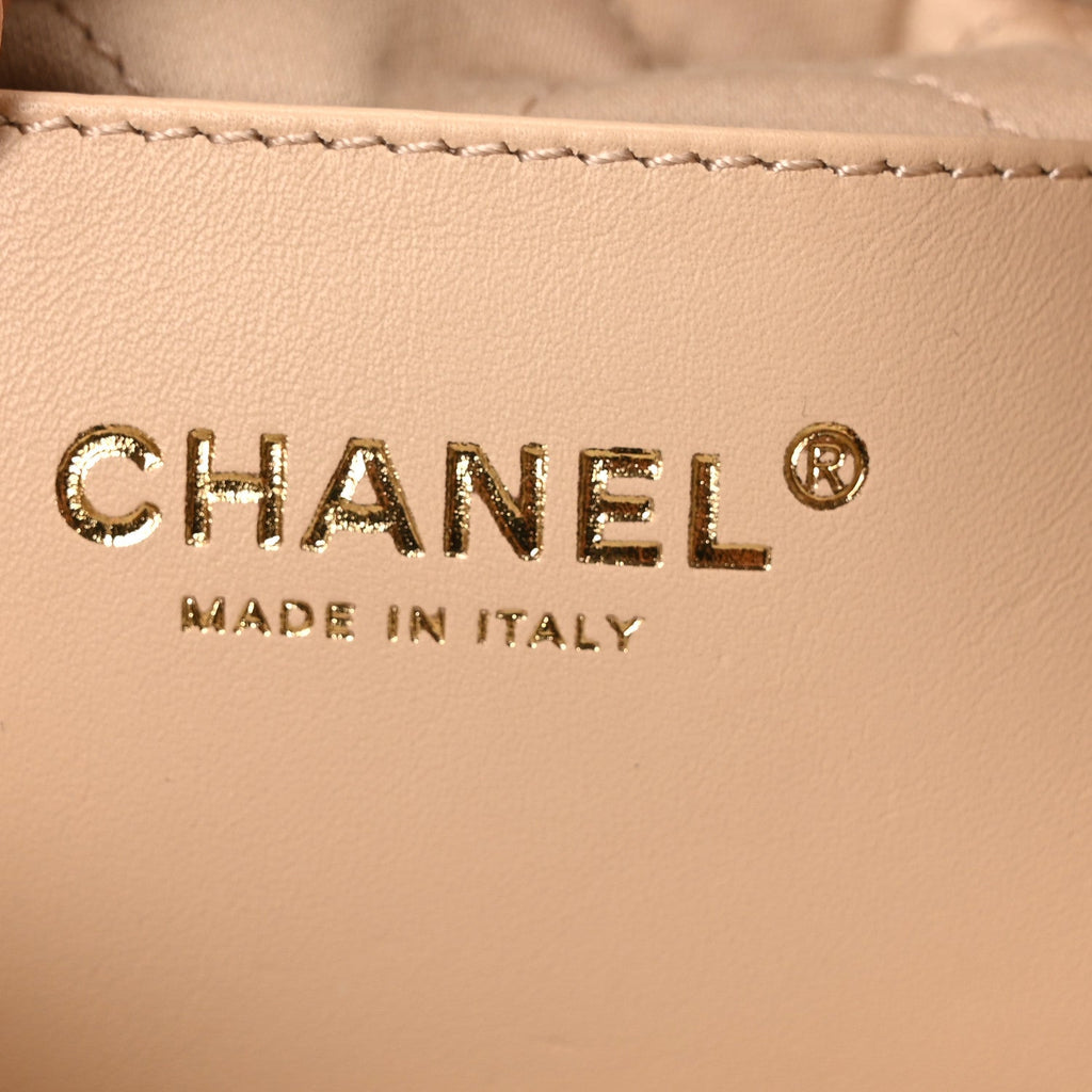 Shiny Calfskin Quilted Mini Chanel 22 White