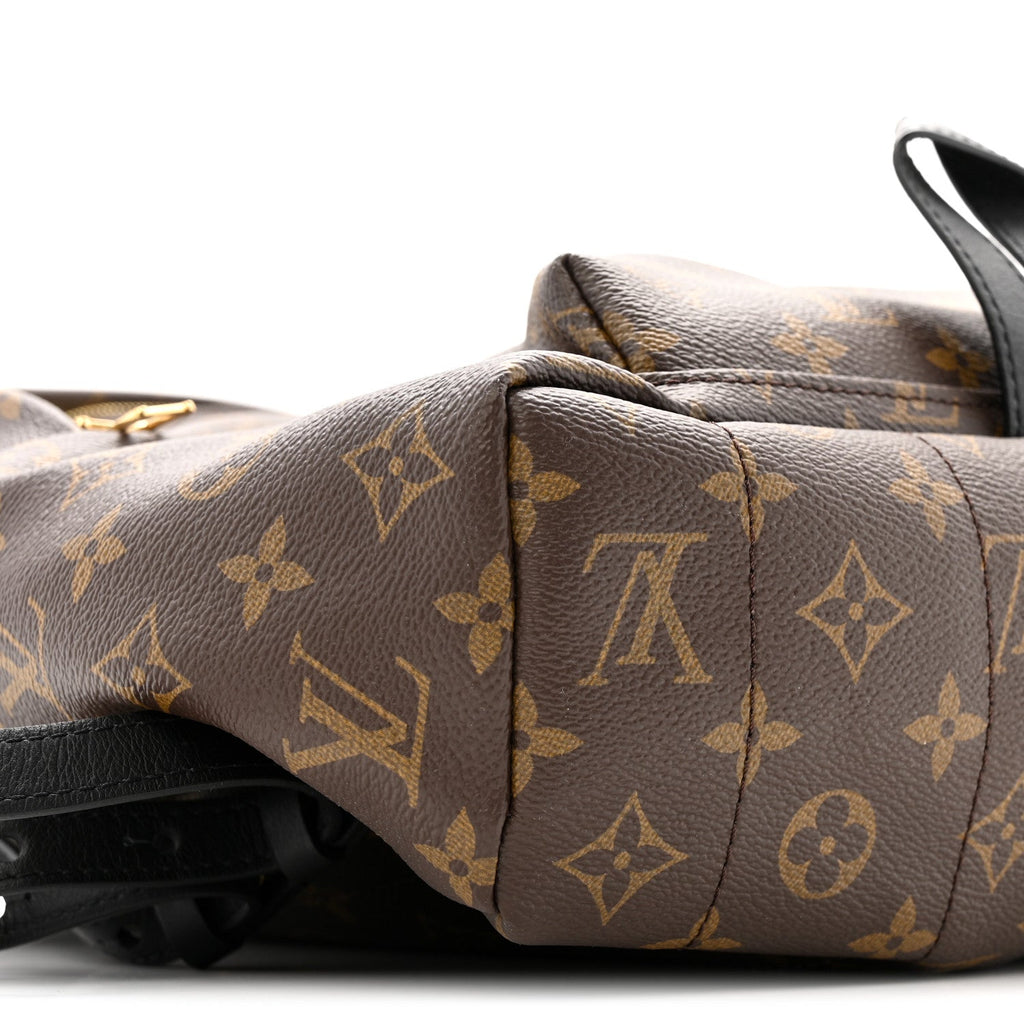 Monogram Palm Springs Backpack MM