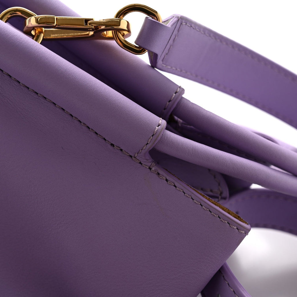 Shiny Nappa Calfskin Paseo Bag Light Mauve