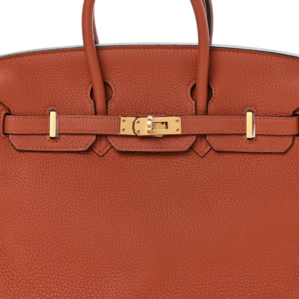 Togo Birkin 25 Terre Battue