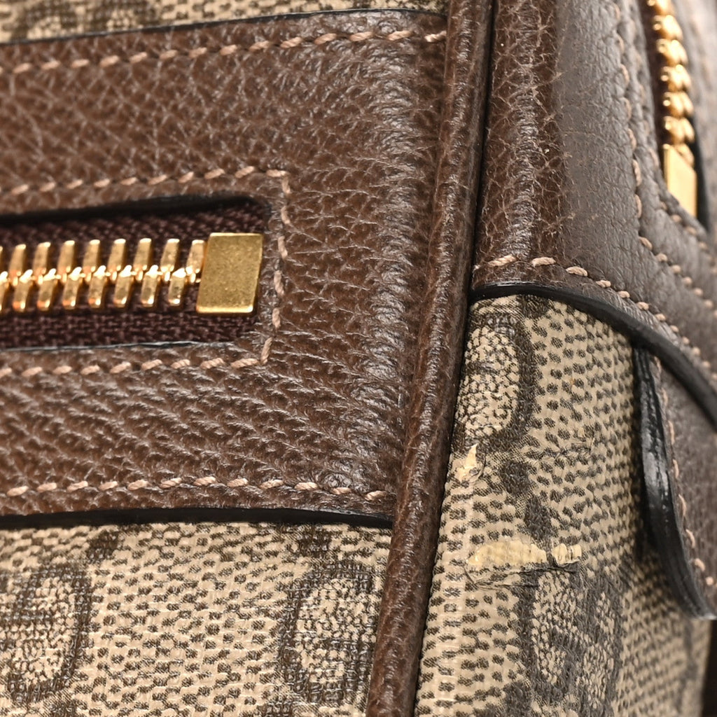 GG Supreme Monogram Web Small Ophidia Belt Bag 85 34 Dark Brown