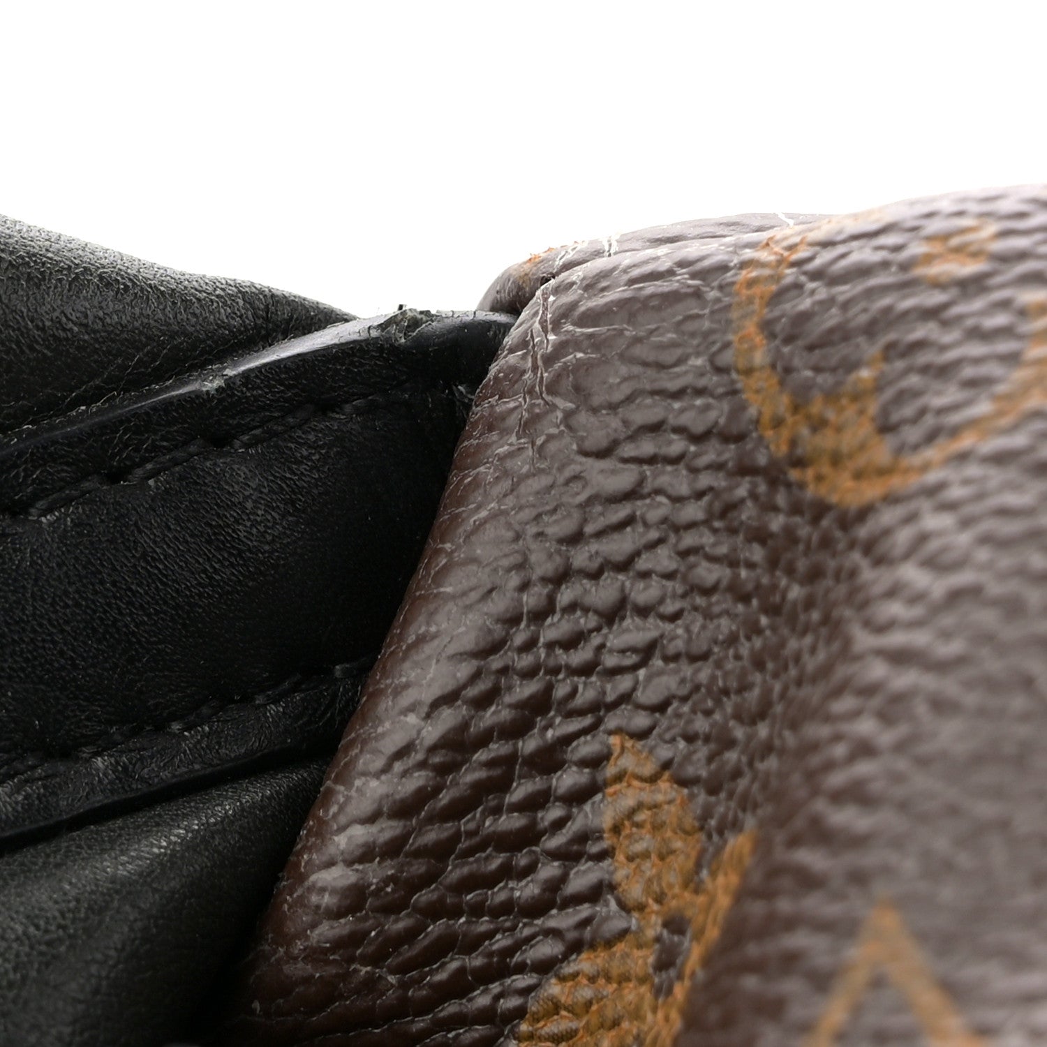 Monogram Palm Springs Backpack PM