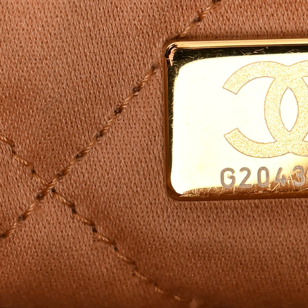 Shiny Calfskin Quilted Small Chanel 22 Beige