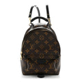 Monogram Palm Springs Backpack Mini