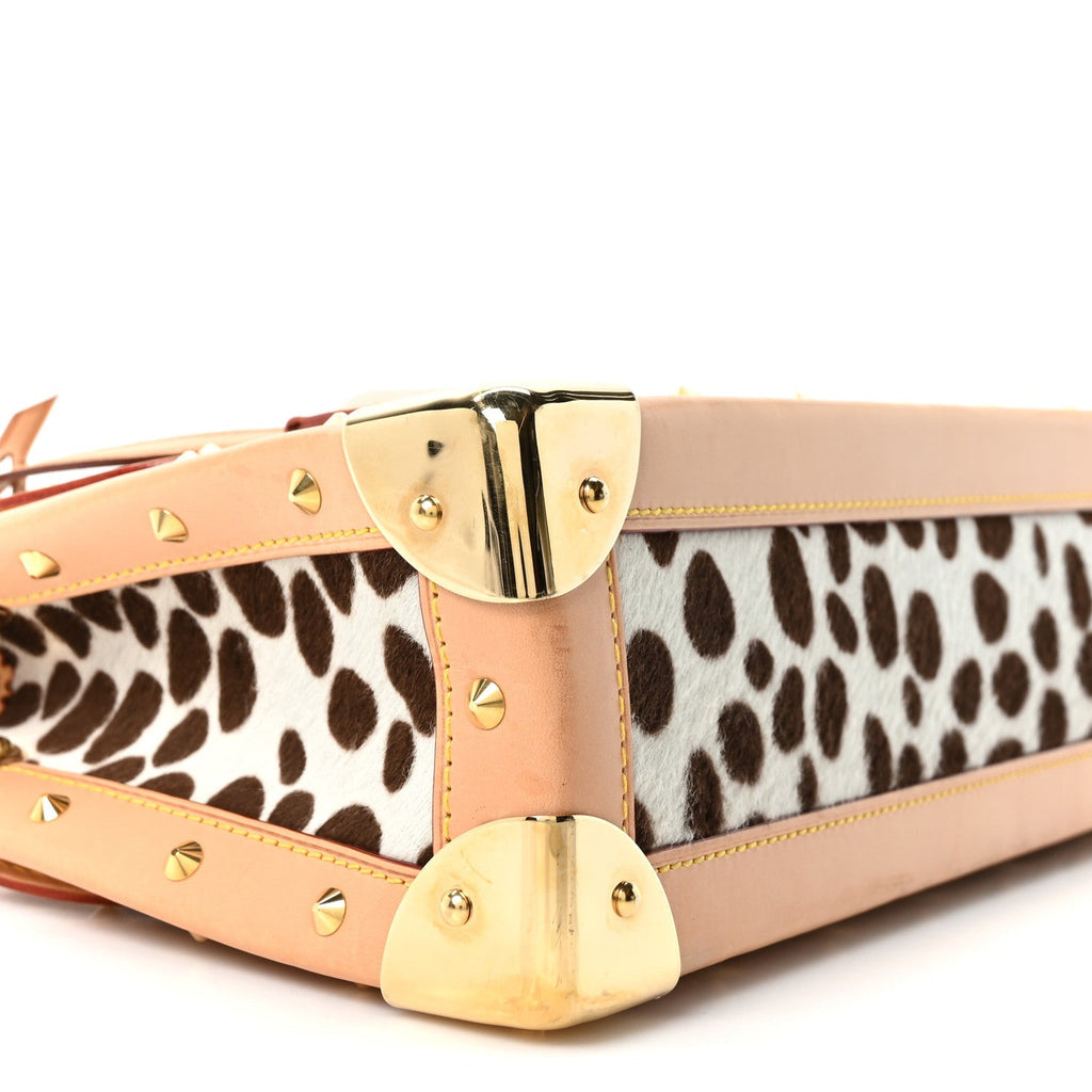 Monogram Multicolor Dalmatian Sac Rabat