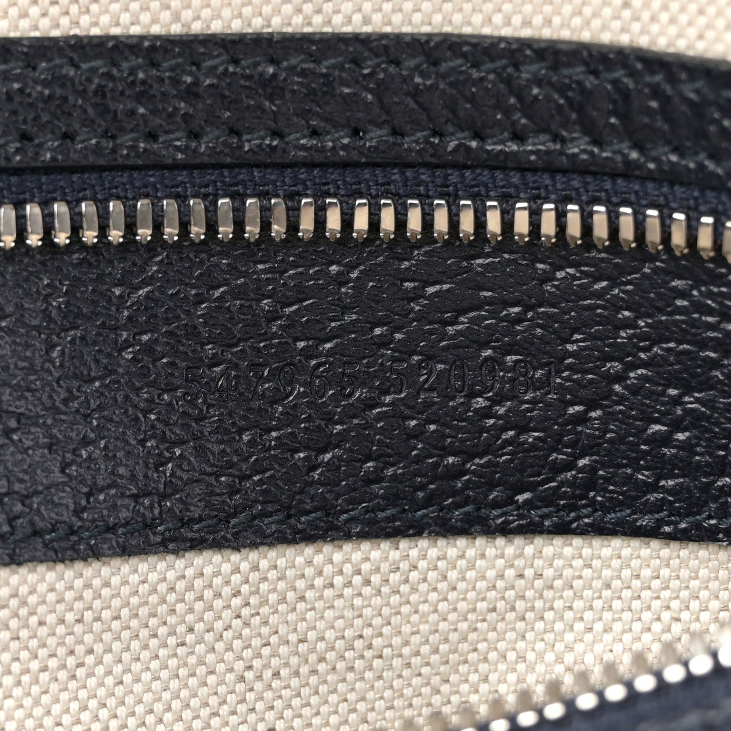 GG Supreme Monogram Textured Dollar Calfskin Web Small Ophidia Day Backpack Beige Blue Black