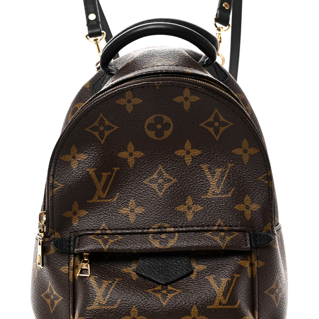 Monogram Palm Springs Backpack Mini
