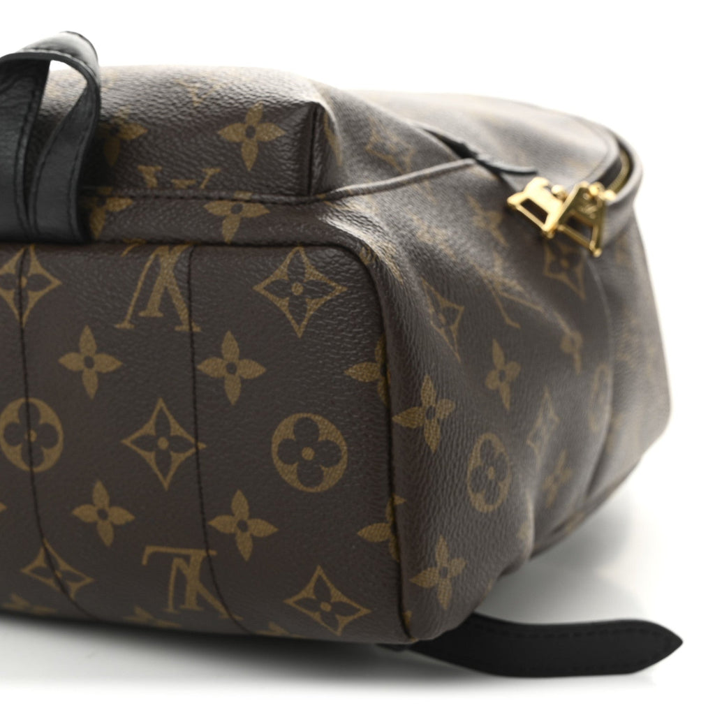 Monogram Palm Springs Backpack PM