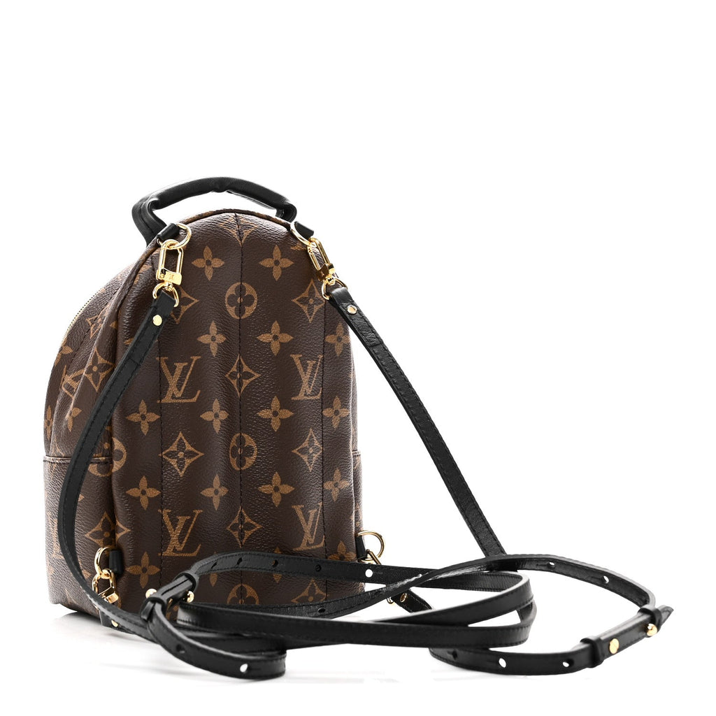 Monogram Palm Springs Backpack Mini