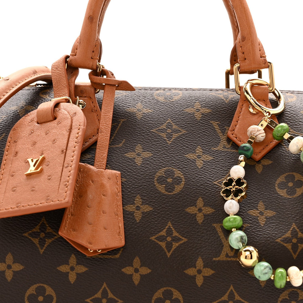 Monogram Speedy Soft 30 Boho