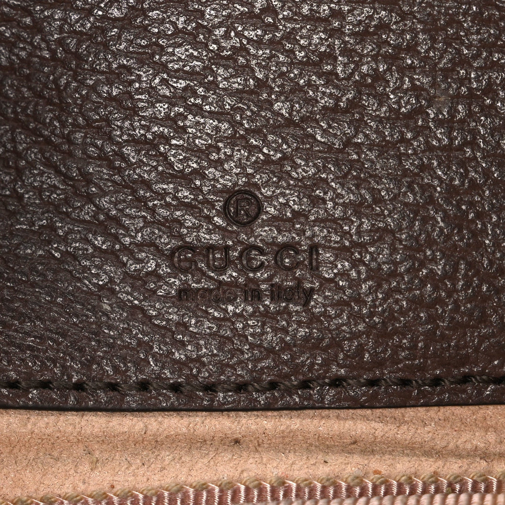 GG Supreme Monogram Web Mini Ophidia GG Bag Brown