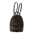 Monogram Palm Springs Backpack Mini