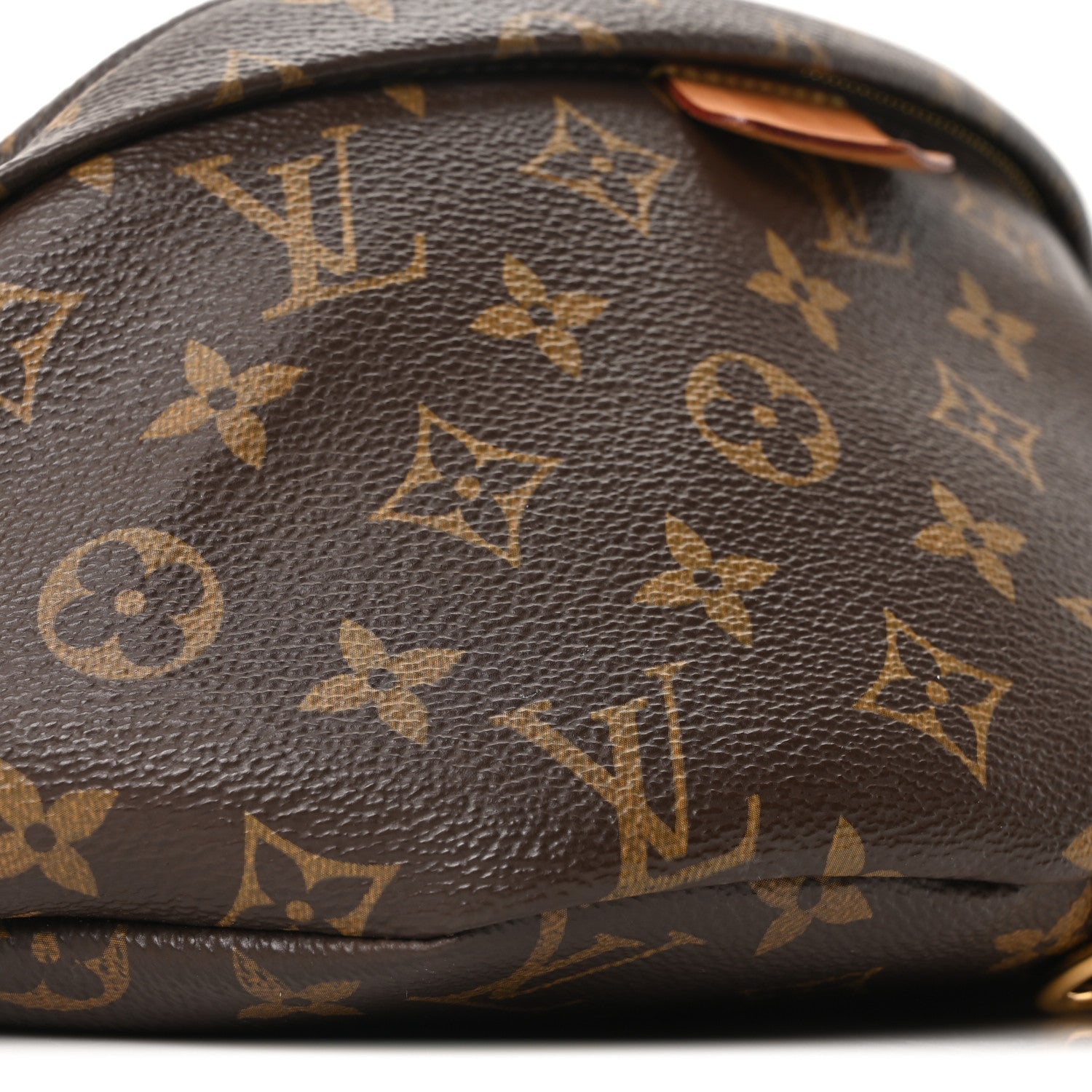 Monogram Bumbag