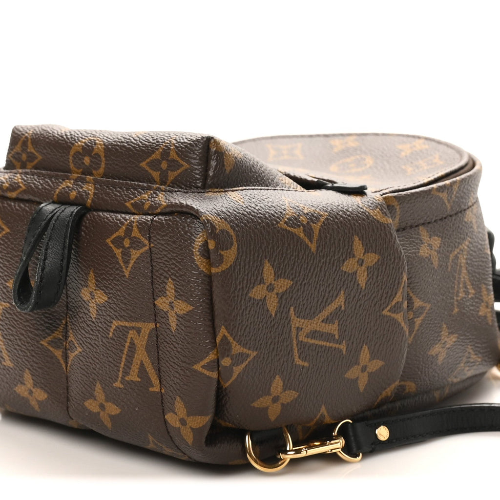 Monogram Palm Springs Backpack Mini