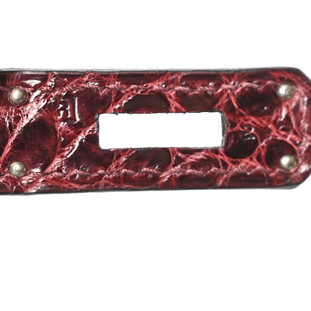 Shiny Porosus Crocodile Birkin 35 Bourgogne