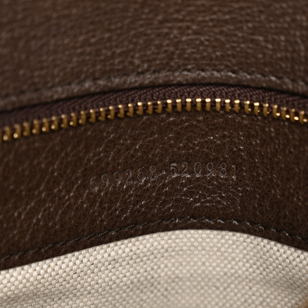 GG Supreme Monogram Textured Dollar Calfskin Blondie Chain Shoulder Flap Bag Beige Ebony New Acero
