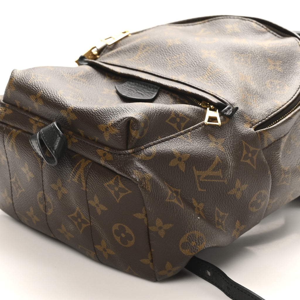 Monogram Palm Springs Backpack PM