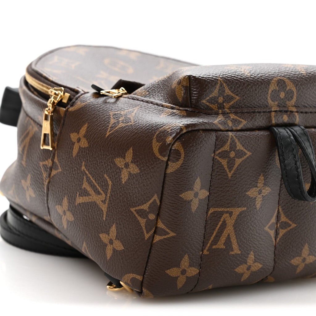 Monogram Palm Springs Backpack Mini