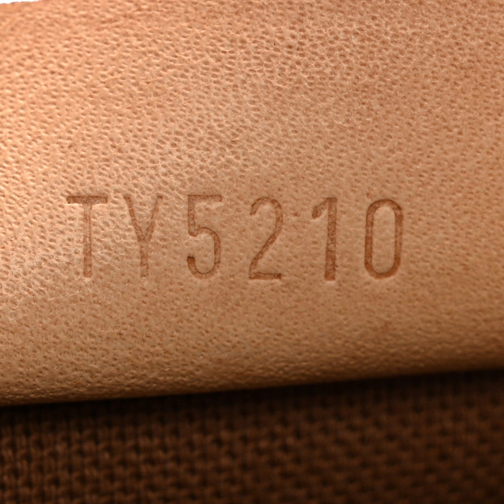 Monogram Nano Speedy