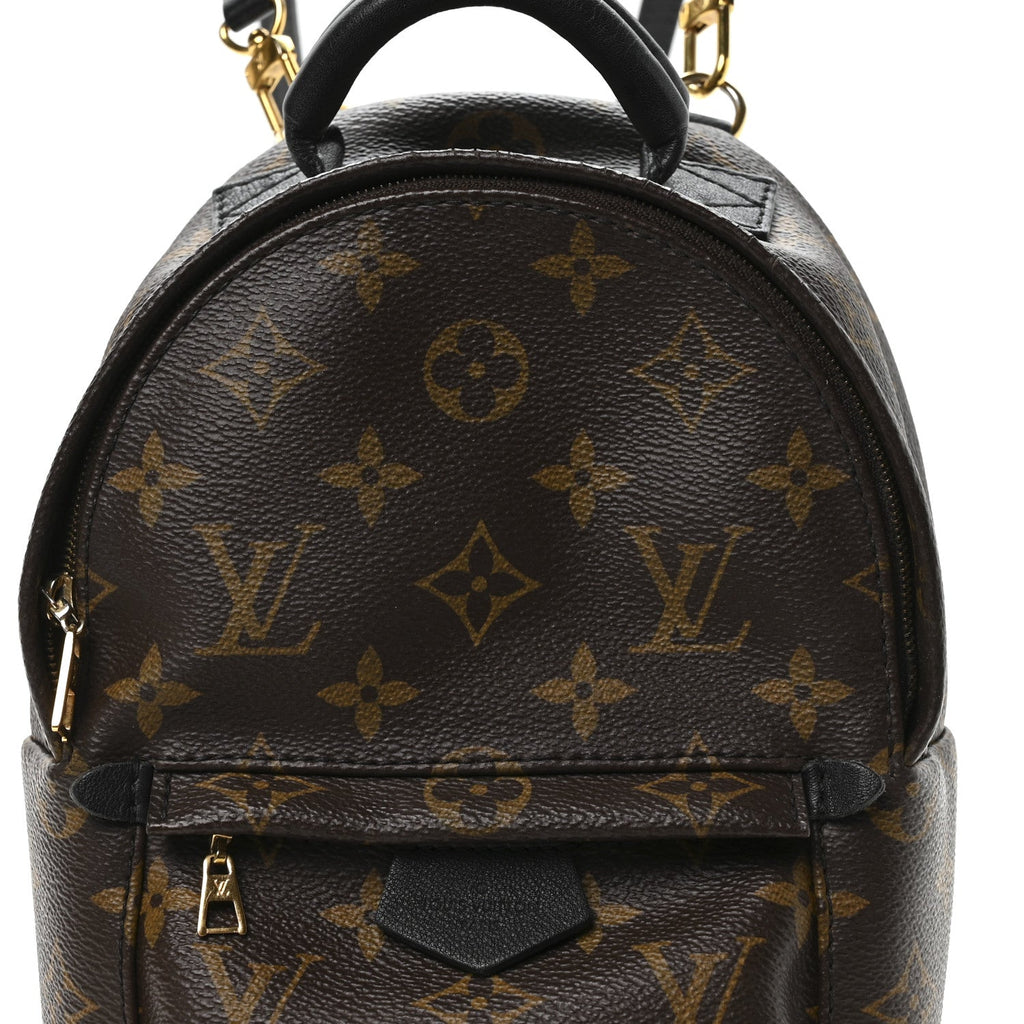 Monogram Palm Springs Backpack Mini
