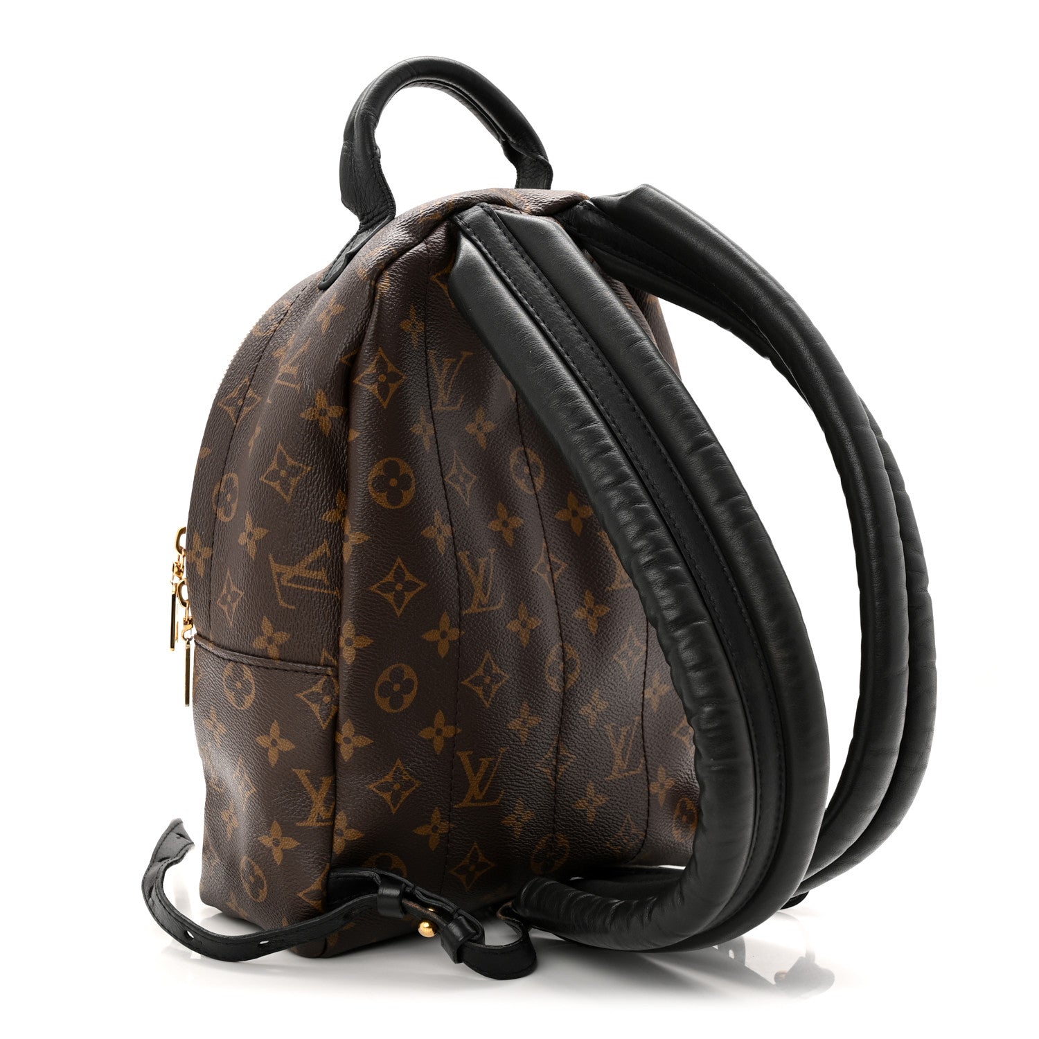 Monogram Palm Springs Backpack PM